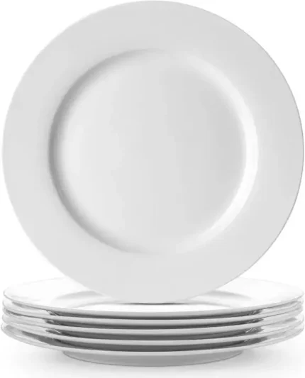 10-inch round white porcelain dinner plate for hotel tableware – INEQUIP